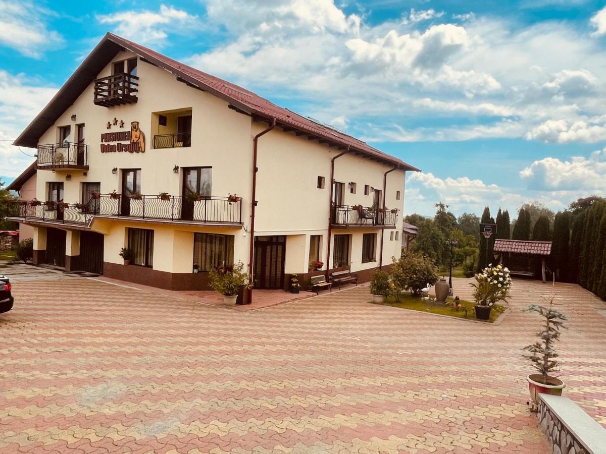 Pensiunea Valea Ursului Câmpulung Bagian luar foto