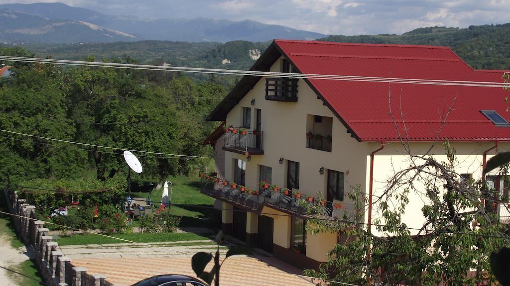 Pensiunea Valea Ursului Câmpulung Bagian luar foto